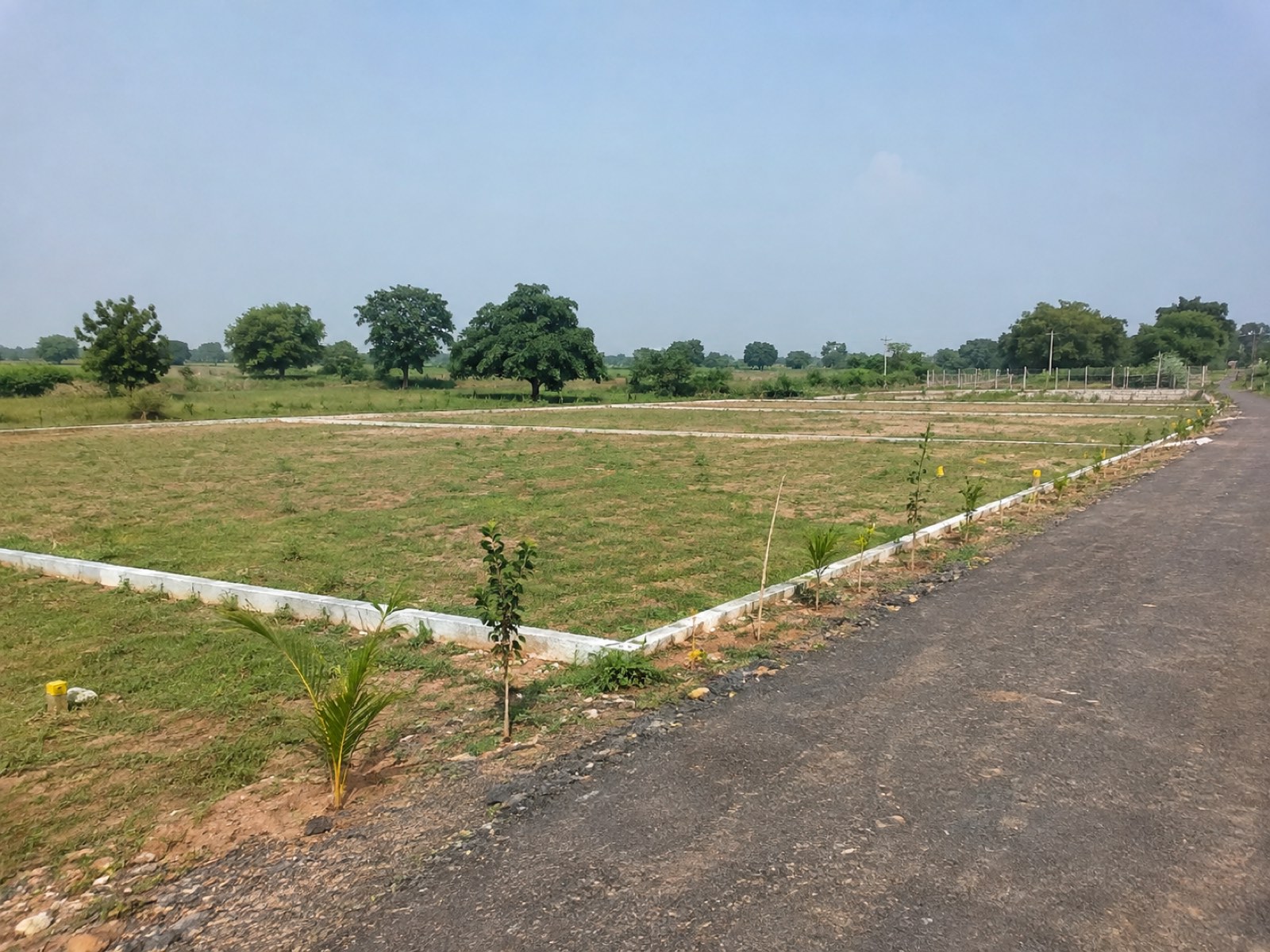 Plot Loans